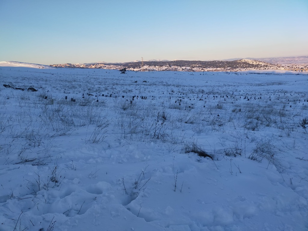 Paisaje de la dehesa cubierta de nieve